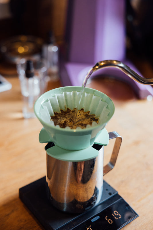 Specialty Filter Brewing Masterclass