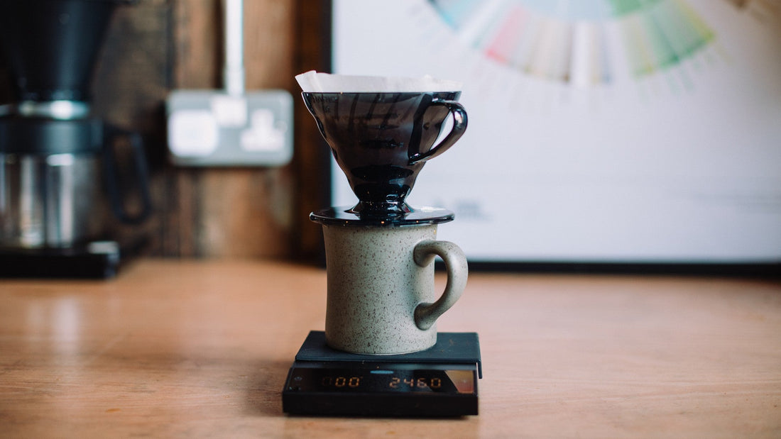 V60 Brew Guide by Odd Kin Coffee Roasters