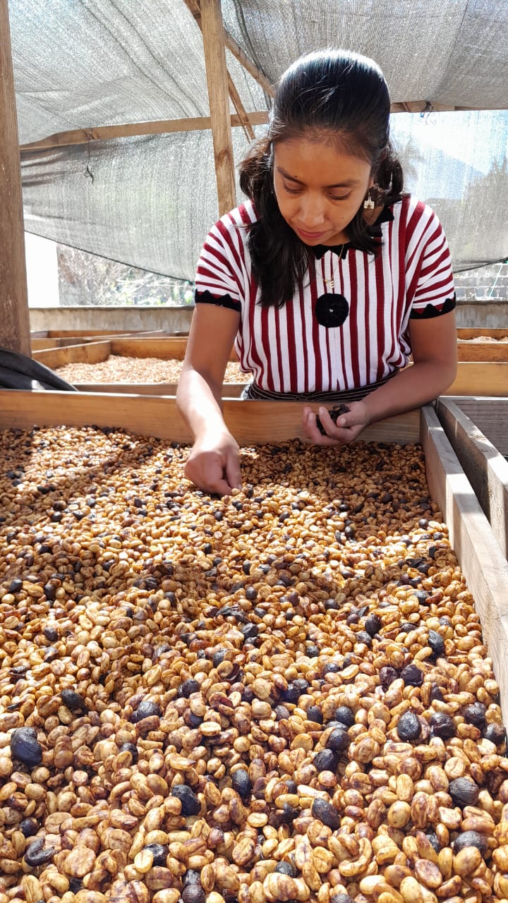 Tinamit Honey, Guatemala
