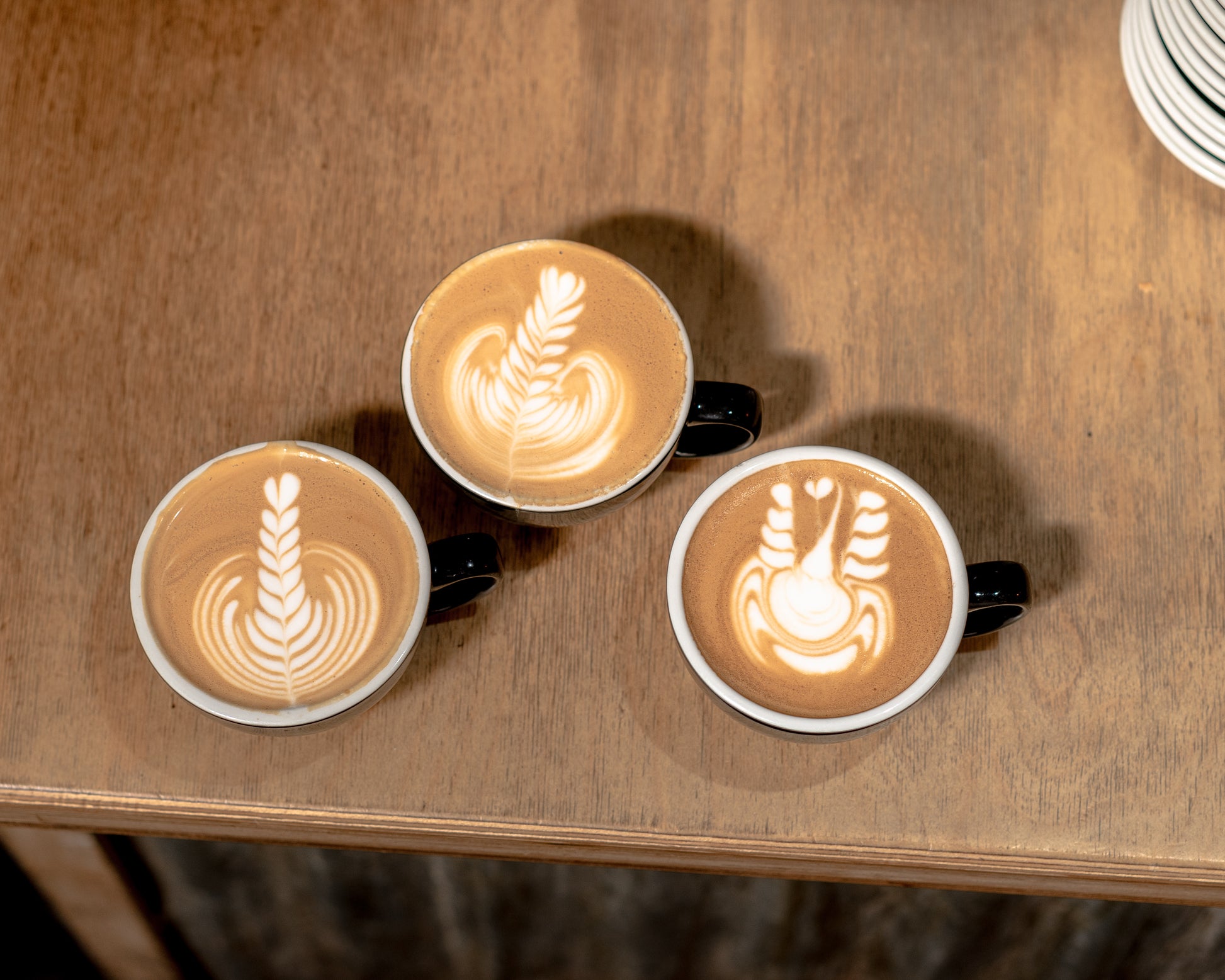 Latte Art 101- Milk Steaming Workshop
