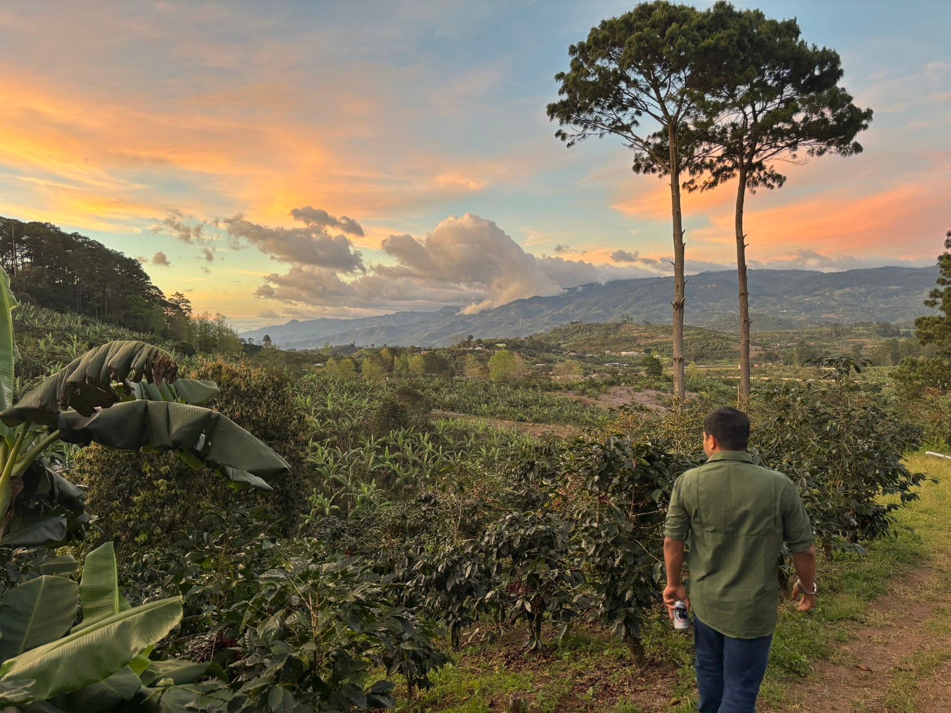 El Matazano, Honduras