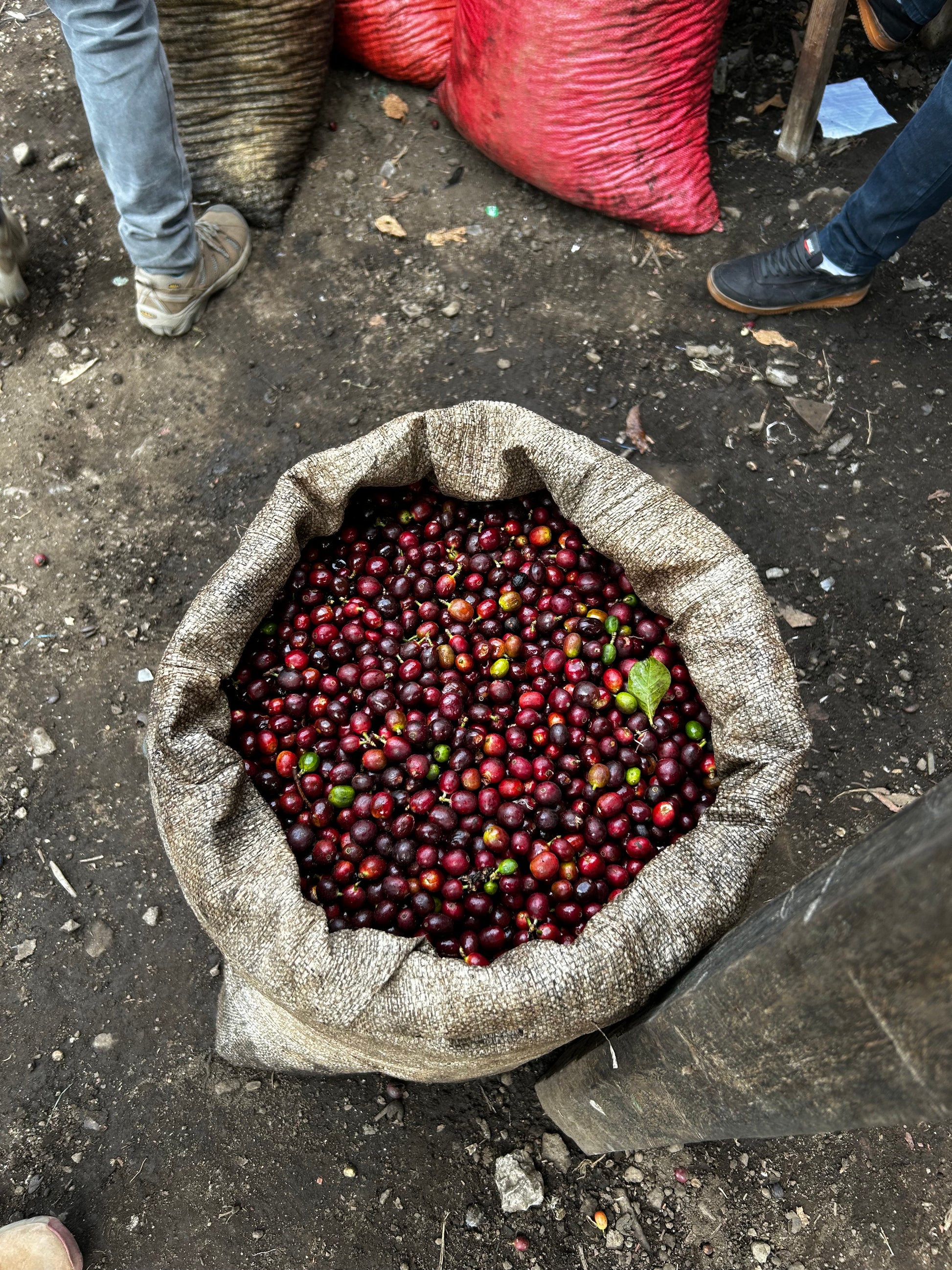 Tinamit, Guatemala