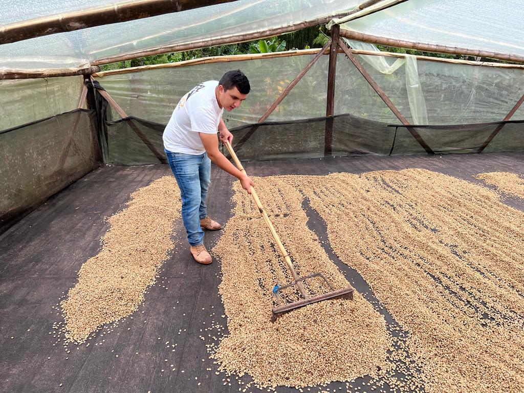 El Diviso, Colombia (Experimental Decaf)