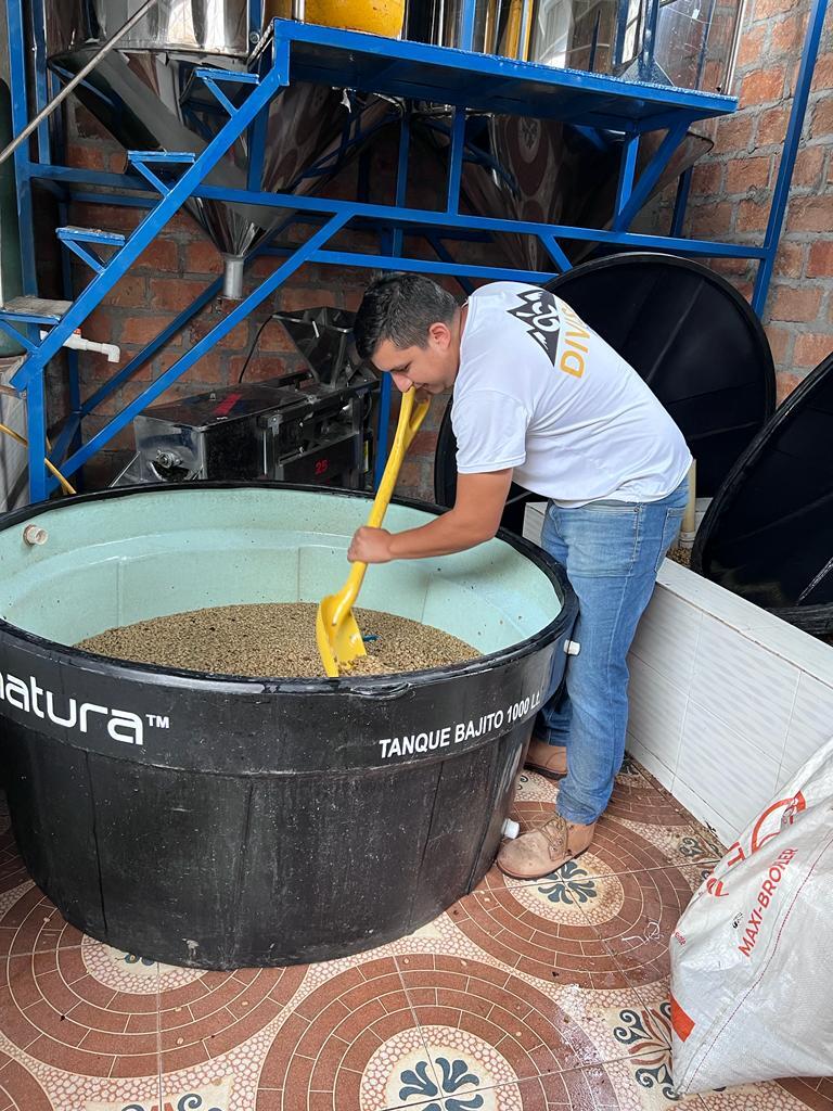 El Diviso, Colombia (Experimental Decaf)