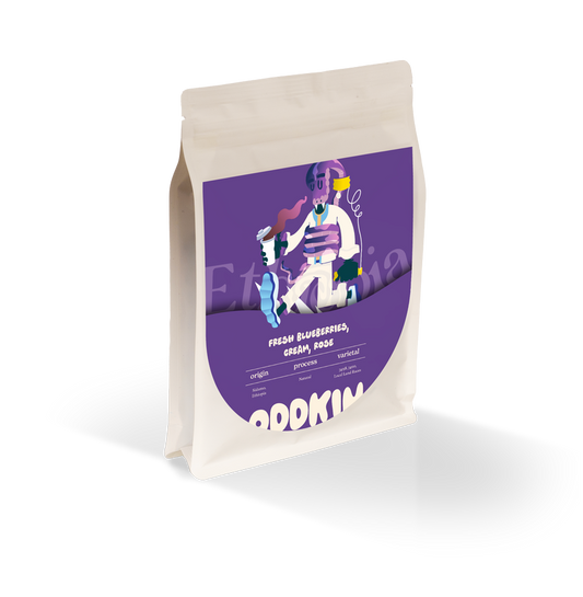 Mitiku Yabato, Ethiopia