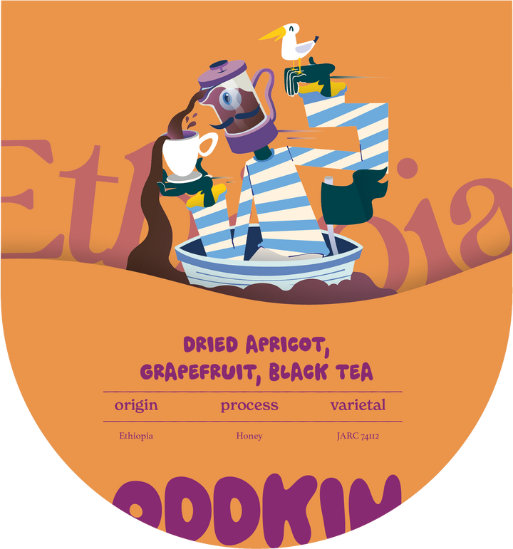 OddKin Coffee Roasters | Bristol Coffee Roasters, UK