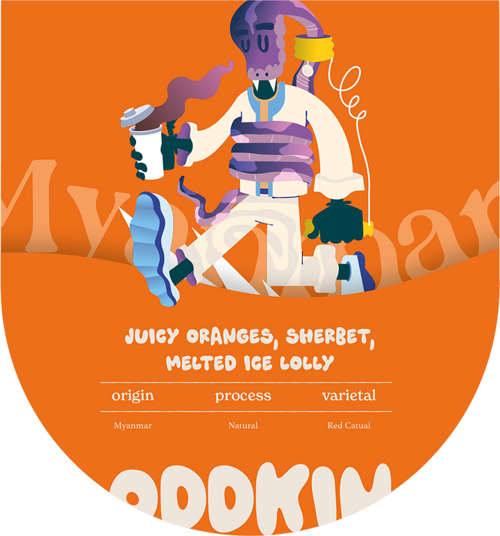 OddKin Coffee Roasters | Bristol Coffee Roasters, UK
