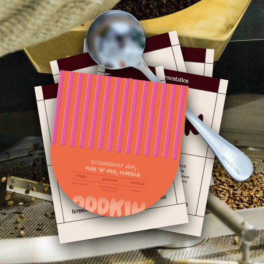 The Fermentation Project: <p> I Heart Fermentation Bundle