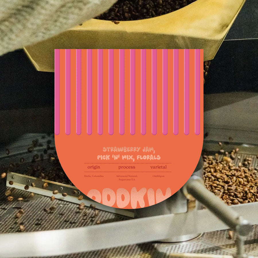 The Fermentation Project: <p> I Heart Fermentation Bundle