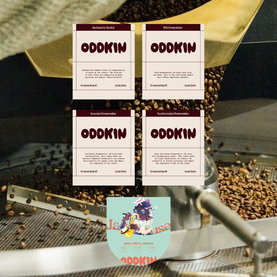 The Fermentation Project: <p> Jazzy Bundle
