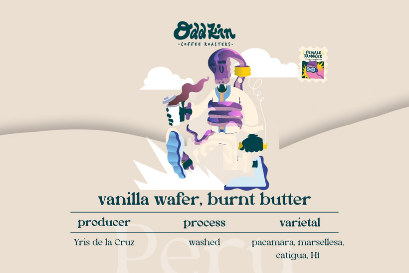 De La Cruz, Peruvian Coffee by Odd Kin Coffee Roasters