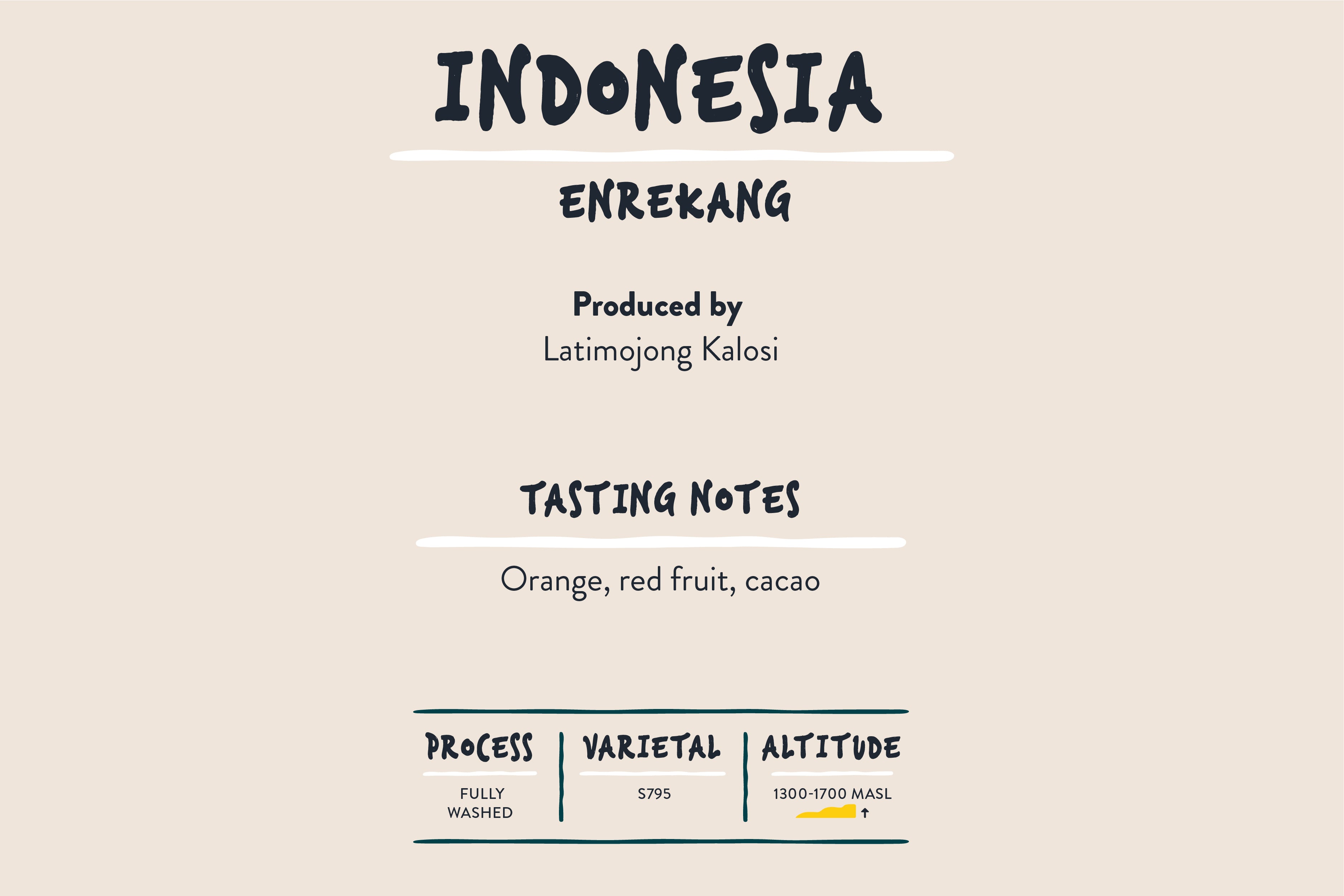 Indonesian Coffee - Enrekang