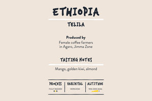 Odd Kin Coffee Roasters Ethiopia Telila Washed Coffee Info Card