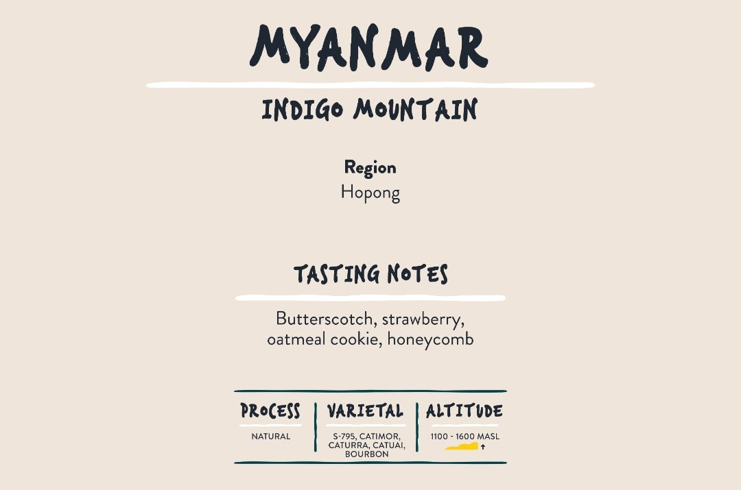 Myanmar Coffee - Indigo Mountain